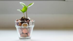 Improve the Financial Management of your Business